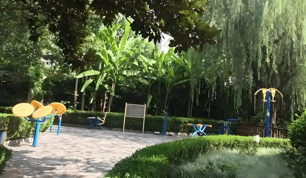 丑女敛财：驭夫女将军