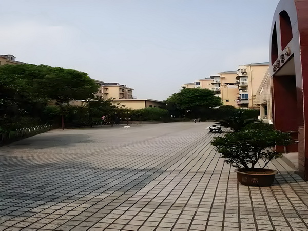 倾世桃花劫